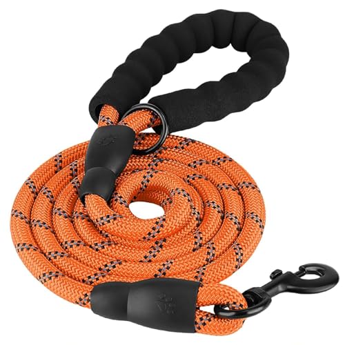 Emily Pets Dog Leash 