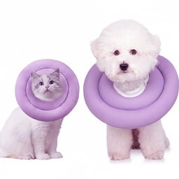 Emily pets E-collar  
