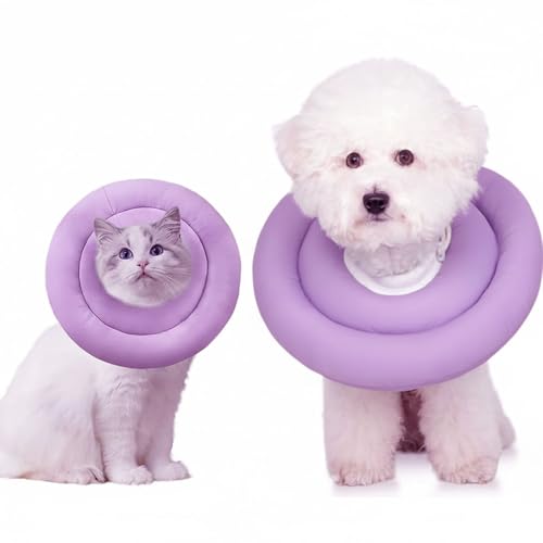 Emily pets E-collar  