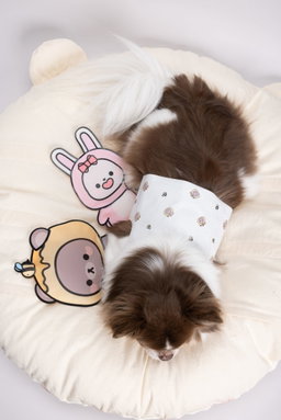 AhAhLand Cool Pad (Bear/Rabbit) 