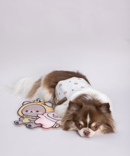 AhAhLand Cool Pad (Bear/Rabbit) 