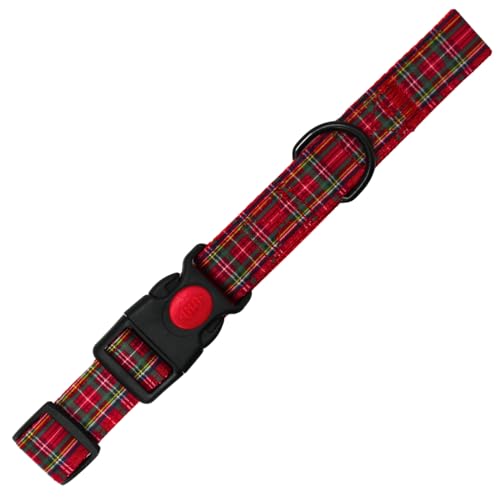 Emily Pets Cats Collar Leash with Multi Color