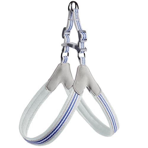 Pet harness