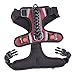 HARNESS  _0