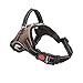 HARNESS  _0