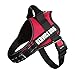 DOG HARNESS