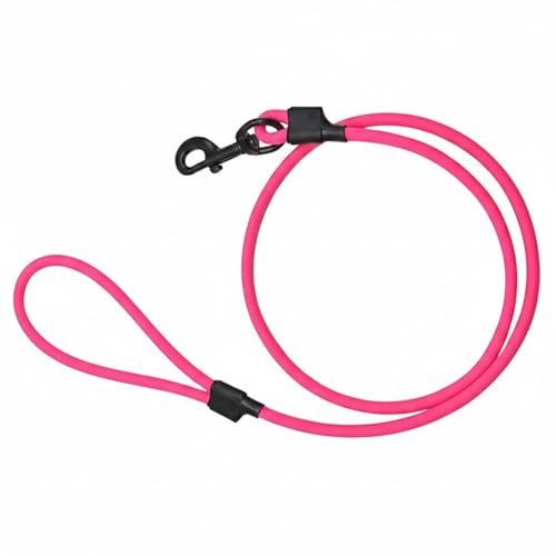 Emily pets PET Leash 1.2M