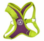 Emily pets Harness