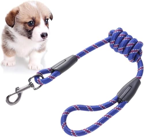 EMILY PET LEASH