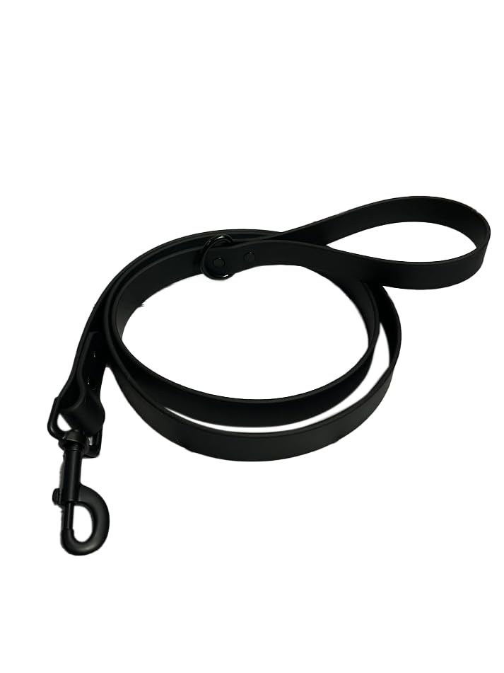 Emily Pets Collar Leash for Dogs