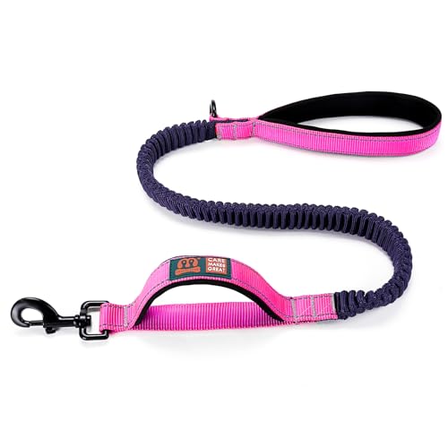  Pet leash_0