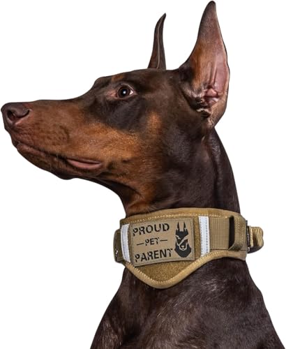 Emily pets pet leash  _0