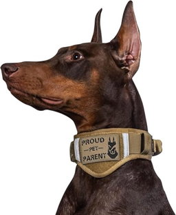 Emily pets pet leash  