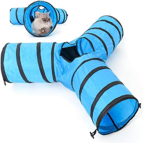 EMILY CAT TUNNEL  