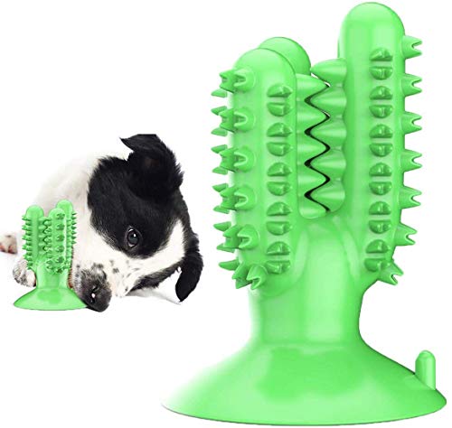 Pet Teether