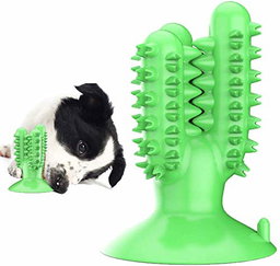 Pet Teether  