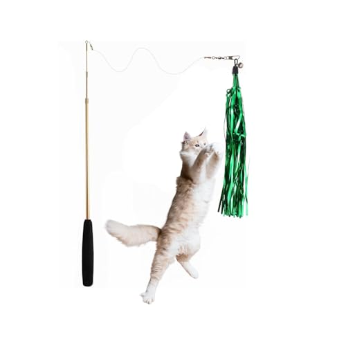  Emily pets Cat stick  _0