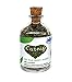 catnip