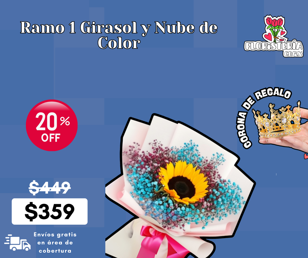Ramo 1 Girasol y Nube de Color