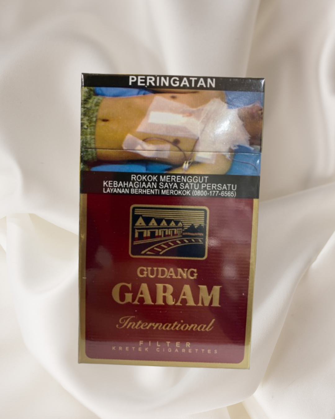 Garfit_0