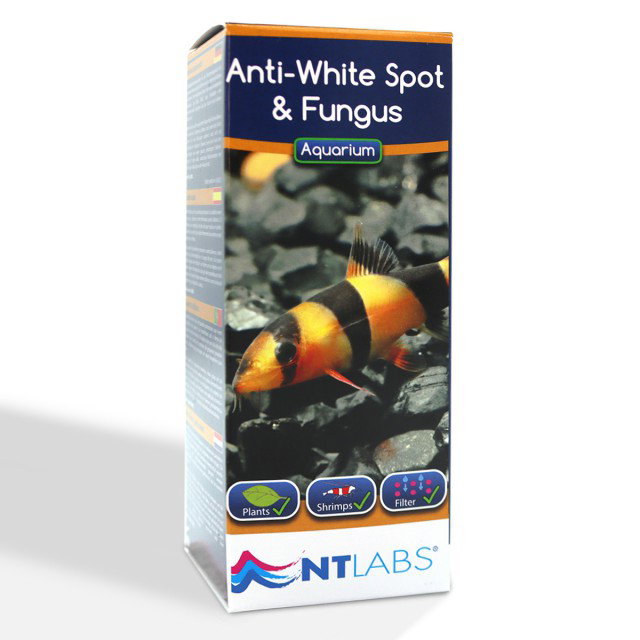 NT Labs - Anti-White Spot & Fungus