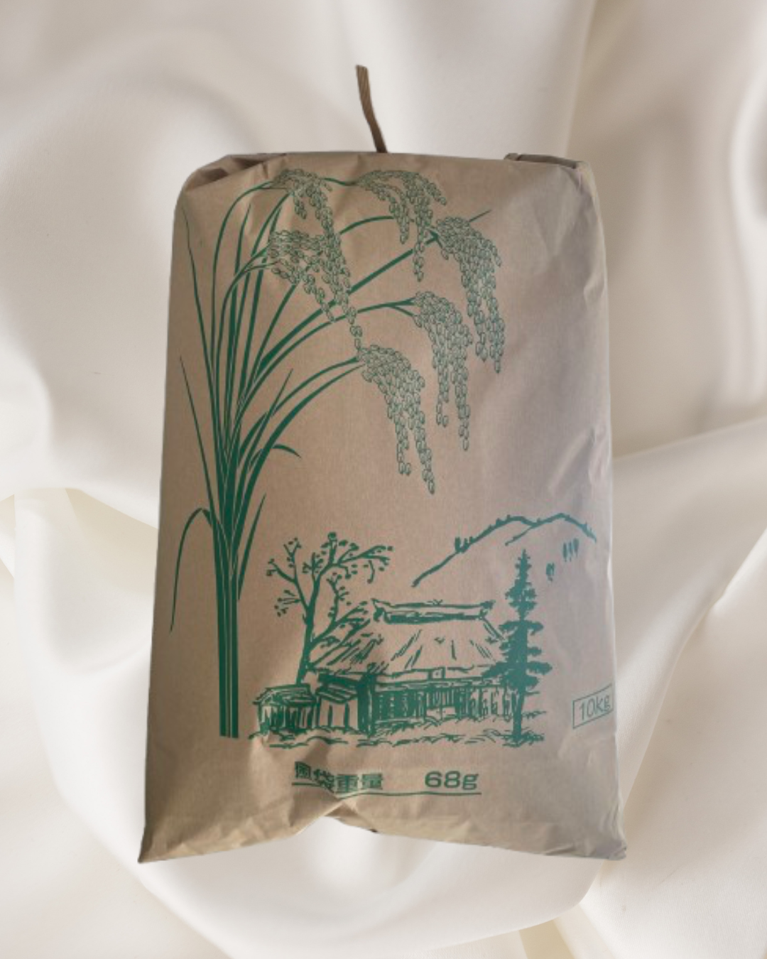 Beras Karung 10kg _0