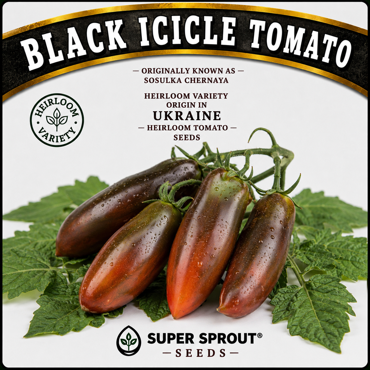 🍅BLACK ICICLE TOMATO 🍅 x 10+ seeds