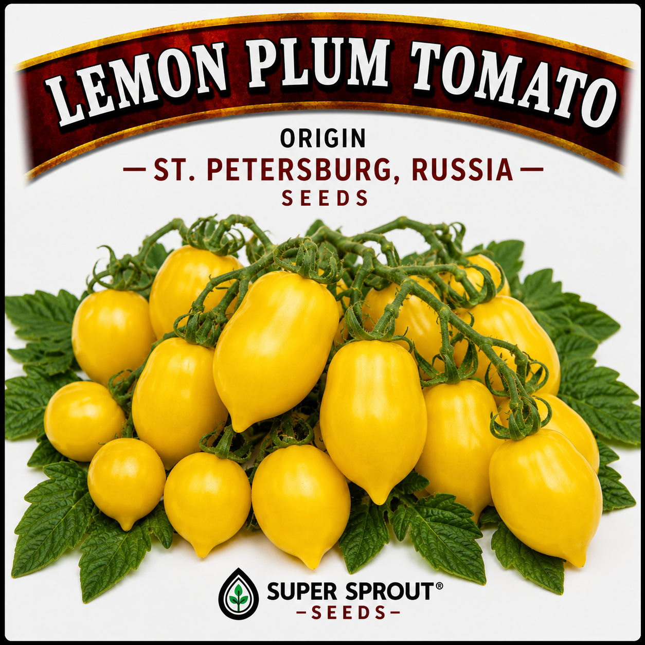 🍅LEMON PLUM TOMATO🍅 x 10 organic seeds