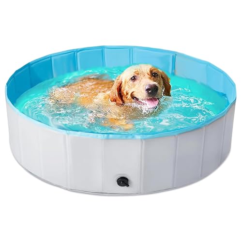 Emily Pets Swimming pool