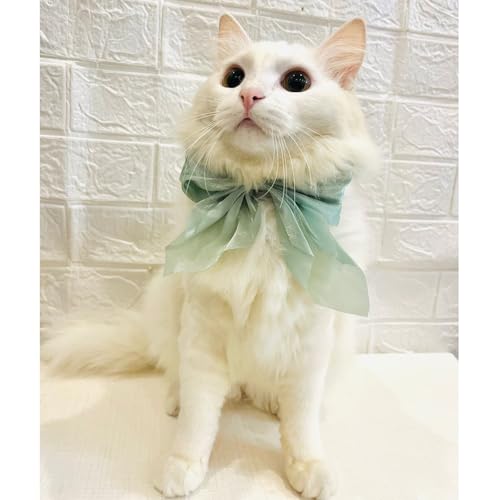 Lulala Adjustable Bow Tie Collar for Cats - Soft and Stylish Pet Neck Accessories