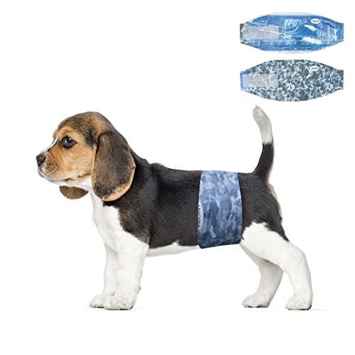 DONOxDS MALE DOG DIAPER(DONO)