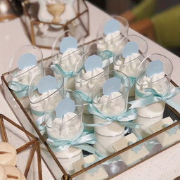 80ml Slanted Dessert Cup (pack of 10)