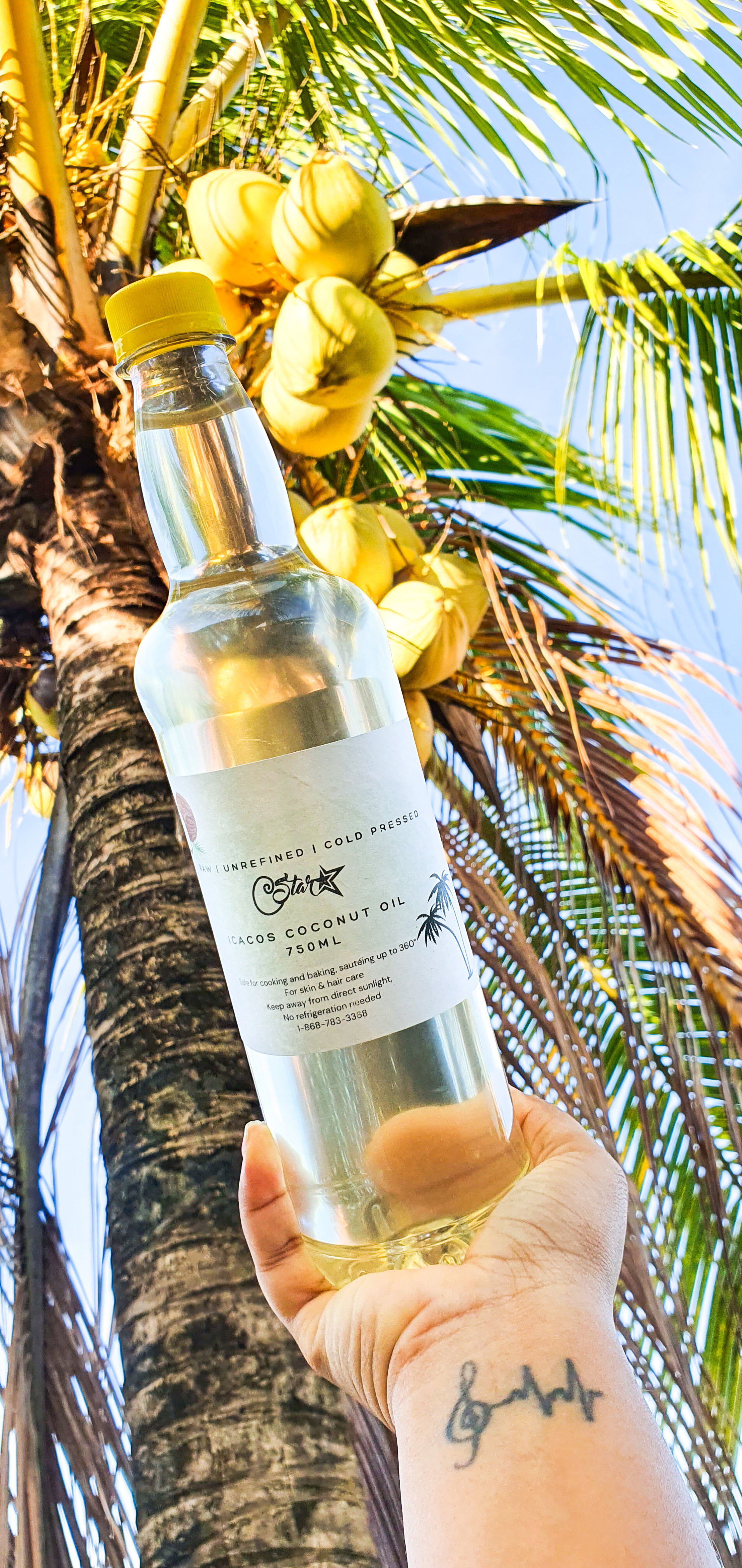 Cold Pressed Icacos Coconut Oil _0