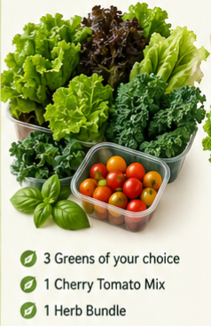 Salad Lovers Box_0