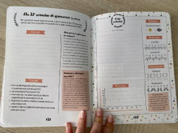 Petit journal de ma grossesse