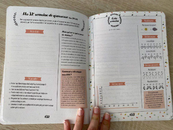 Petit journal de ma grossesse_1