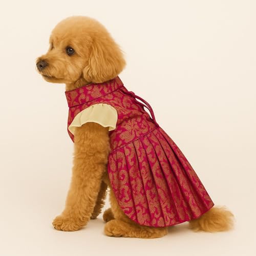 Ethnic Golden Dress with Ruffled Sleeves For Female  _0