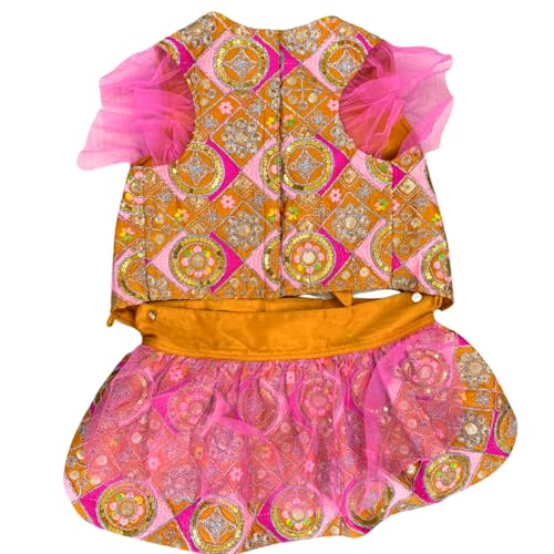 Lulala Traditional Ethnic Dog Dress with Dori Festive Lehenga Choli Outfit