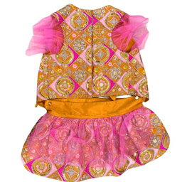 Lulala Traditional Ethnic Dog Dress with Dori Festive Lehenga Choli Outfit  
