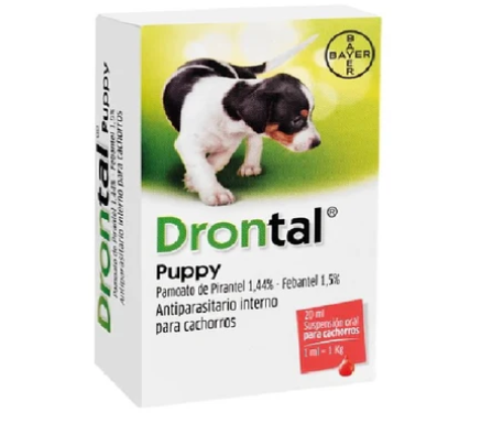 DRONTAL PUPPY 20 ML