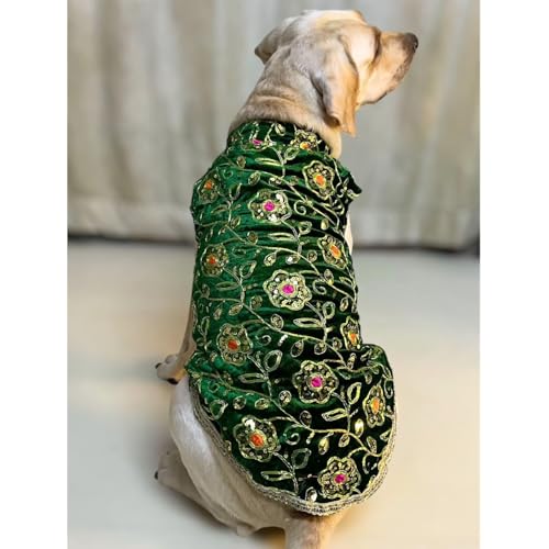 LULALA DOG DRESS