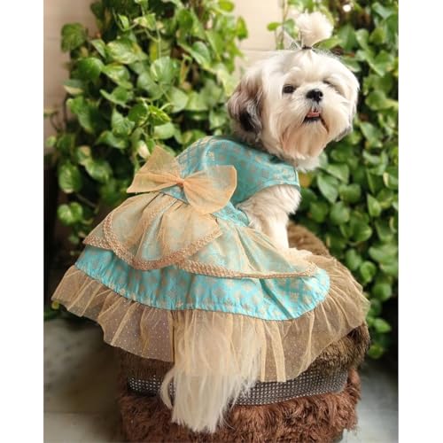 LULALA DOG DRESSS