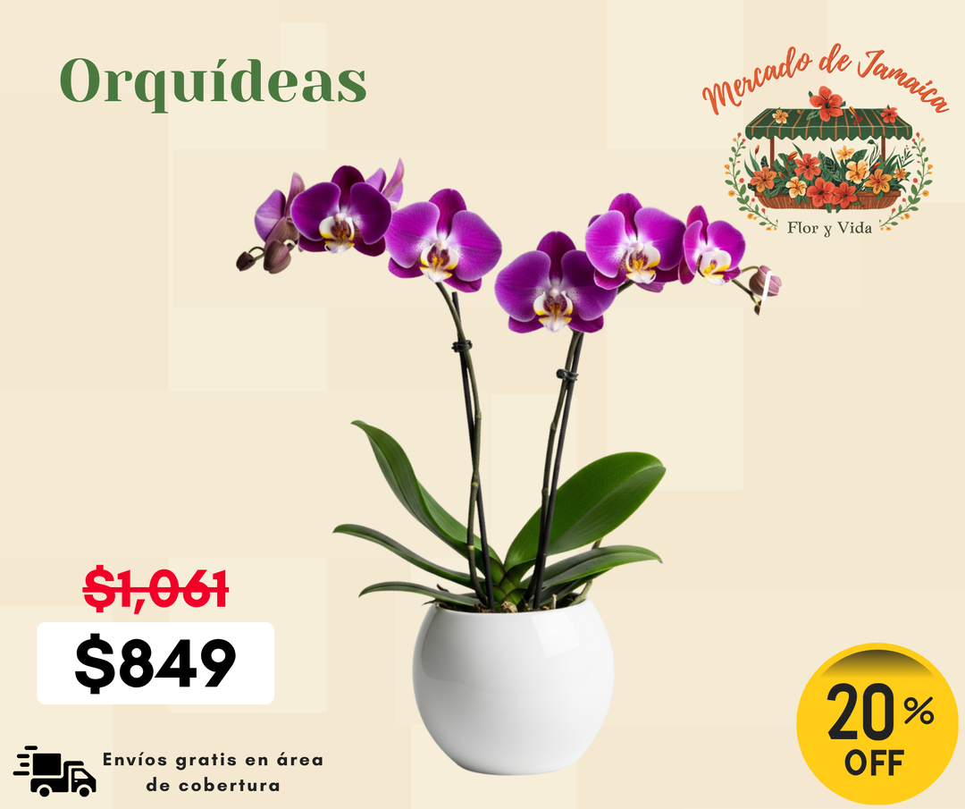 Orquídeas
