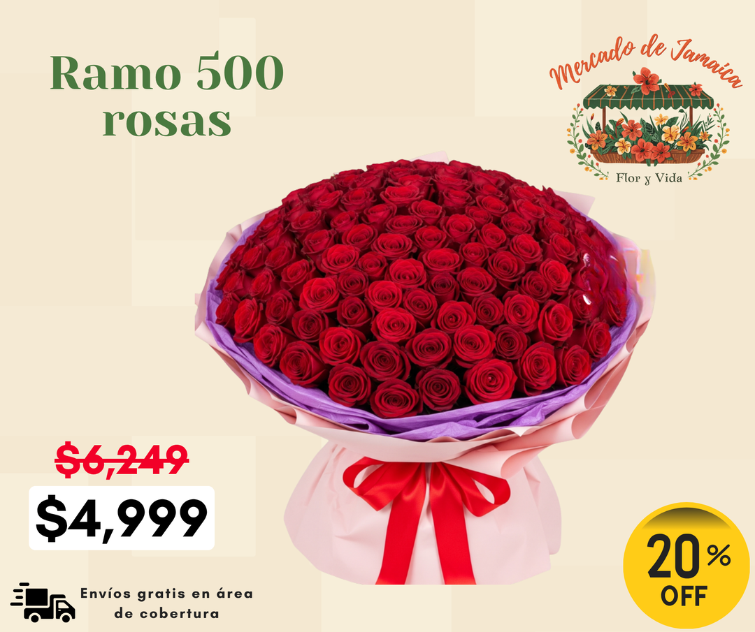 Ramo 500 rosas