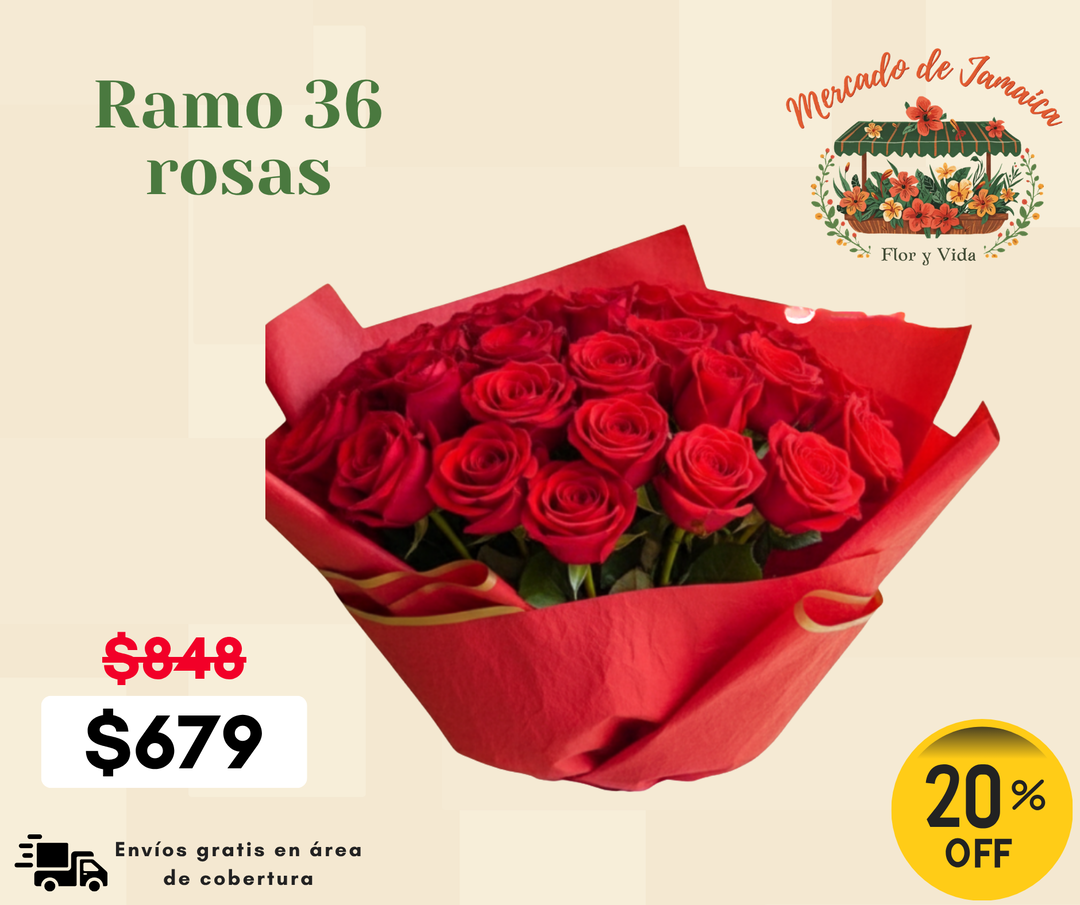 Ramo 36 rosas