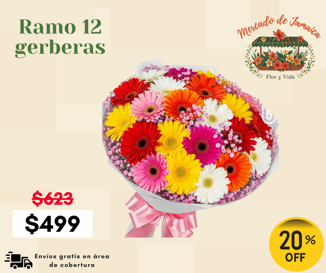 Ramo 12 gerberas