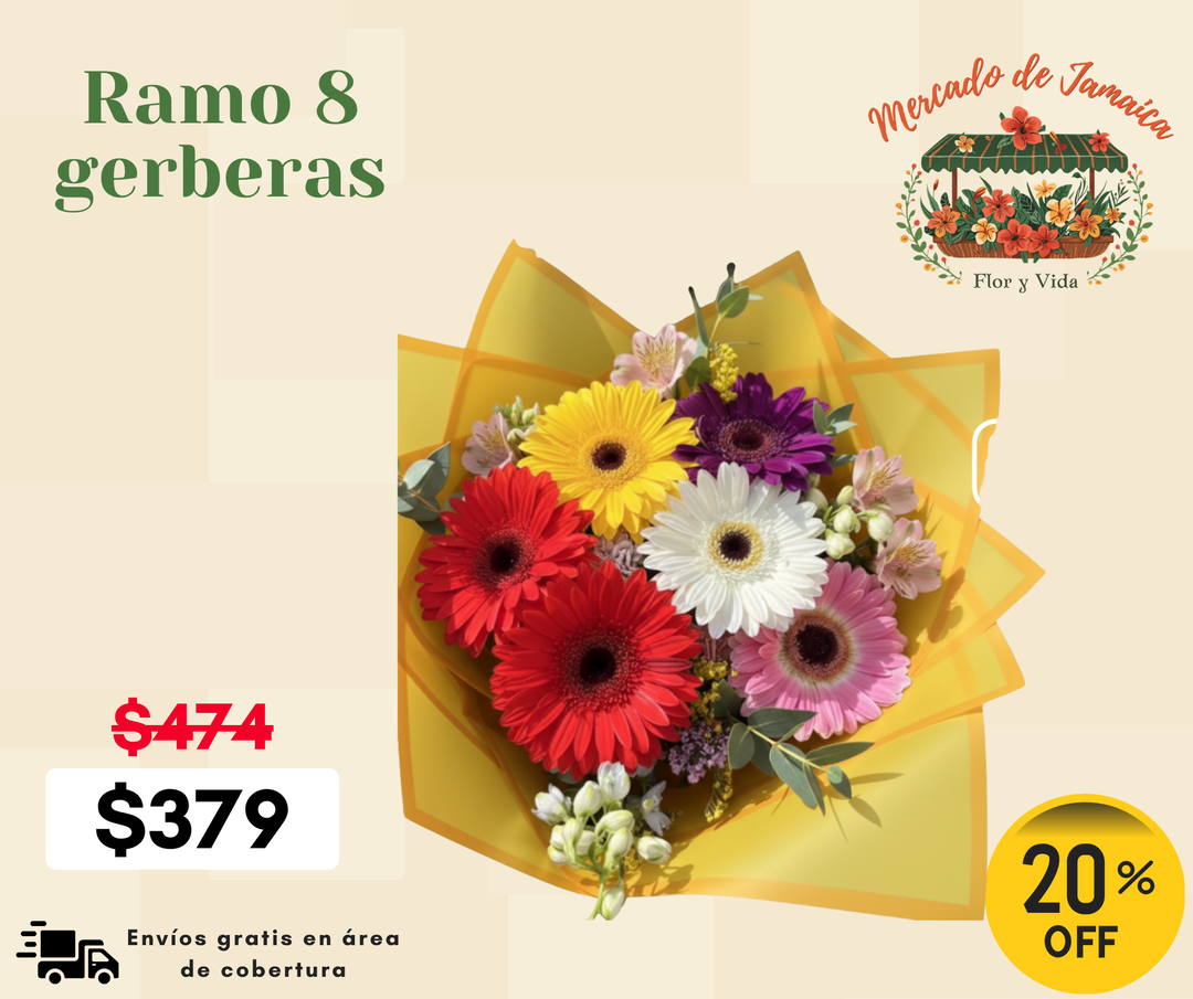 Ramo 8 gerberas