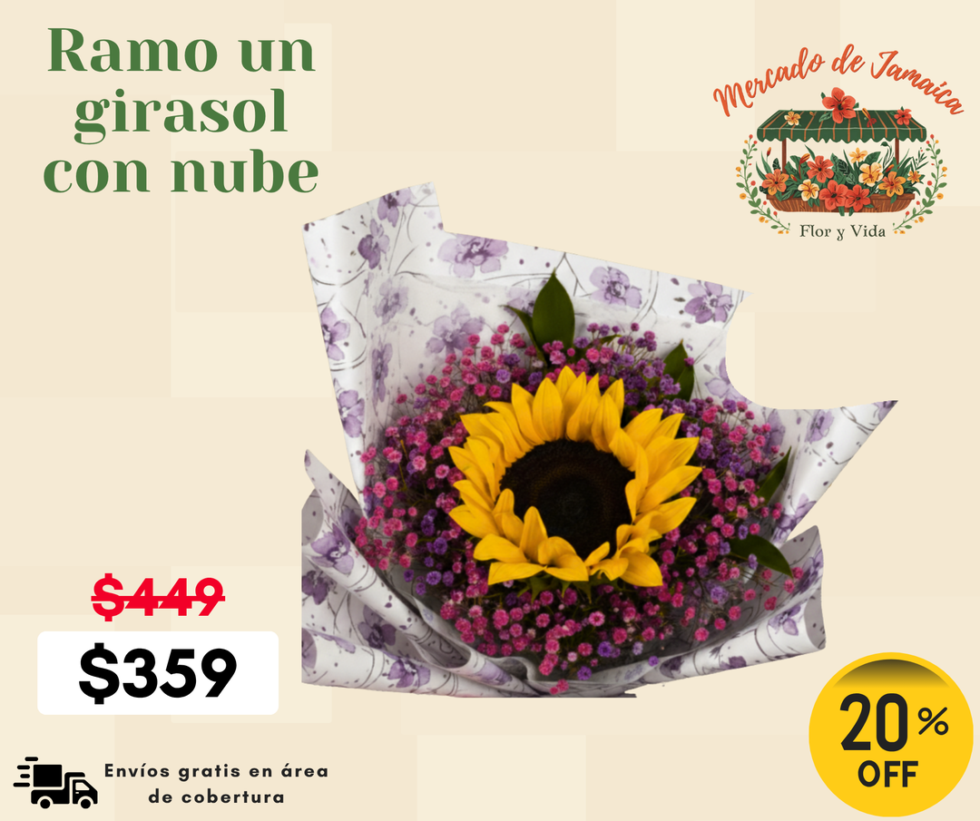 Ramo un girasol con nube