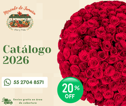 Catálogo 2026