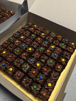Large Brownie (10' x 10' inch) 